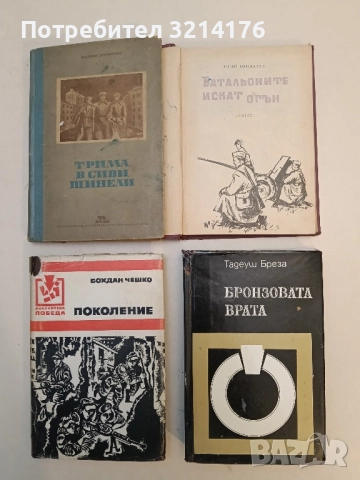 Бронзовата врата - Тадеуш Бреза