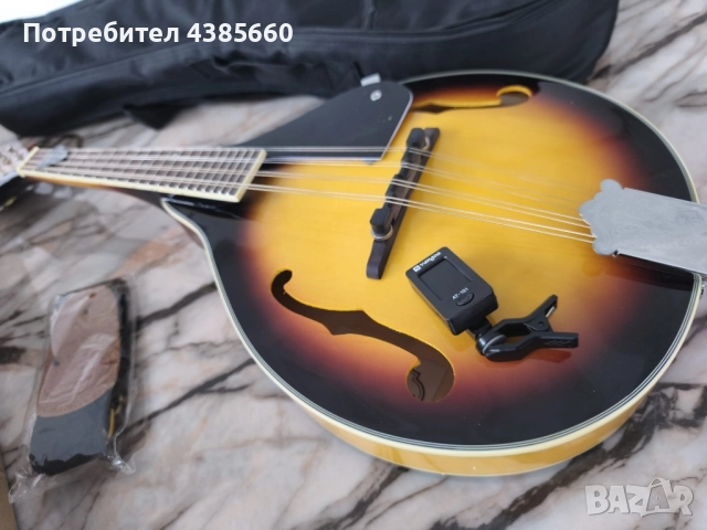 Мандолина, снимка 4 - Струнни инструменти - 52485493