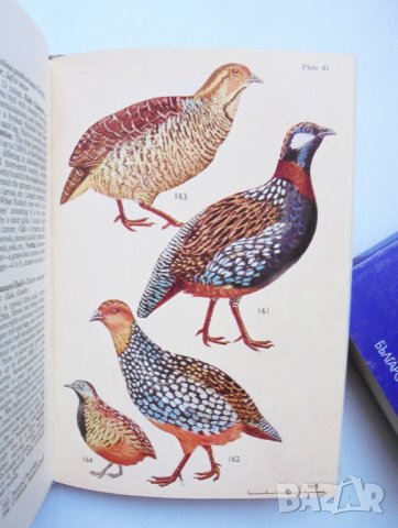 Книга The Book of Indian Birds - Salim Ali 1964 г. Птици, снимка 4 - Други - 34377952
