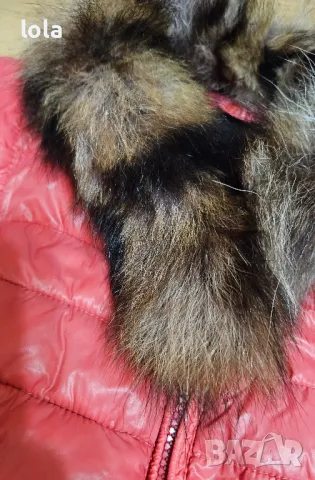 дамско яке с яка от естествен косъм, снимка 2 - Якета - 47476688