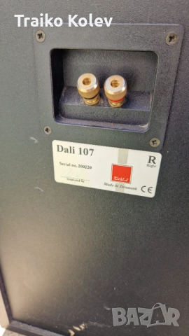 Тонколони DALI 107, снимка 5 - Тонколони - 52456024