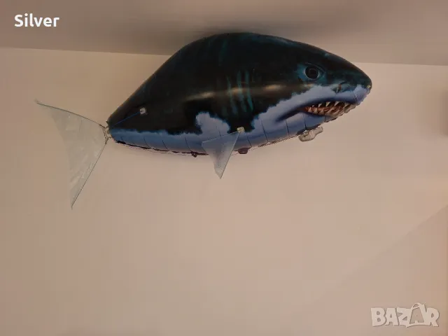 Балон акула