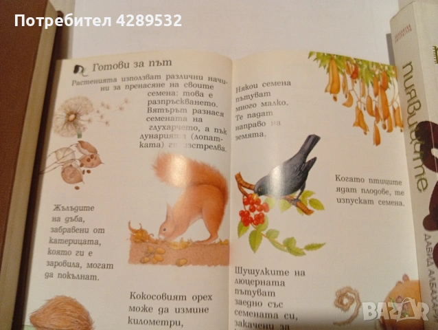 Larousse Моята първа енциклопедия. Растенията., снимка 6 - Детски книжки - 53433787