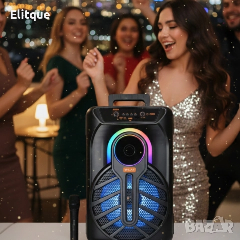 WSJAR E-8809 – Портативна караоке тонколона с микрофон и LED ефекти, снимка 3 - Тонколони - 52749975