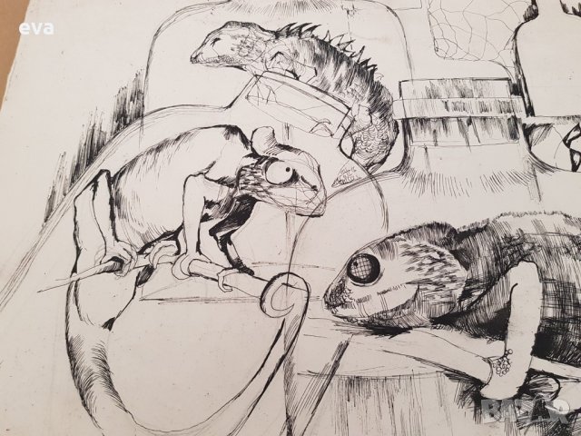 Картина Ина Тъмнева Хамелеони гущери рисунка туш 1983г., снимка 4 - Картини - 34134310