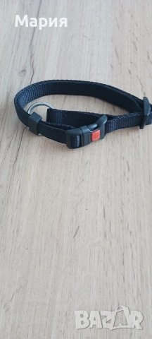 Каишка за малко куче 