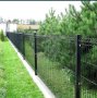 Жив плет, трева, мрежа и ограда, Защита от любопитни съседи!, снимка 6