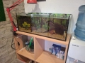 Три  Аквариума , снимка 7