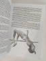 Феноменът пловдивски спорт, снимка 5