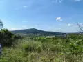 Продава парцели Арбанашко Бърдо. , снимка 2