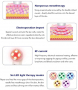 Нов масажор за лице Подмладяване на кожата Здраве Красота LED светлинна терапия , снимка 5