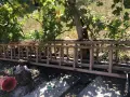 Стълби дървени единични и двойни. , снимка 1
