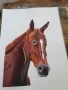 Картина с кон, снимка 4