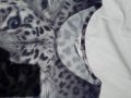 Интересна блуза в спортно-елегантен комплект със сив леопард, снимка 7