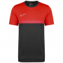 Мъжка тениска Nike Academy Pro - 4 цвята!, снимка 1 - Тениски - 36193327