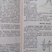 Физическа култура Методически насоки за учителя на 6. клас, снимка 3 - Специализирана литература - 42718206