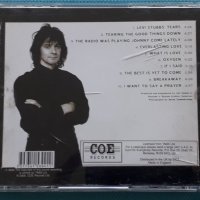 Colin Blunstone – 1995 - Echo Bridge(Pop Rock), снимка 5 - CD дискове - 42462263