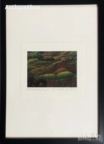 Картина, чудеса, репродукция, фотографски печат, Тодор, Велин, Todor Velin, аборигенска, живопис, снимка 1