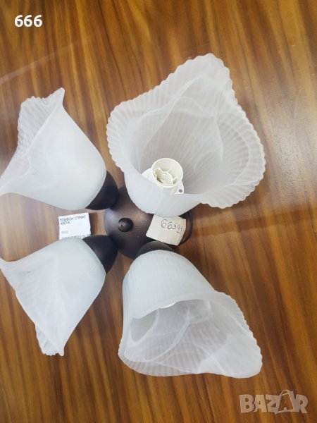 Полилей, снимка 1