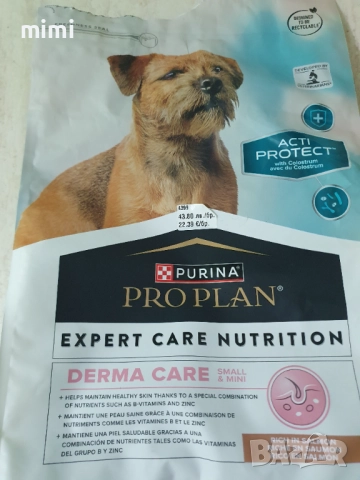 Йоркширски териер йорки + подарък, снимка 6 - Йоркширски териер - 52649100