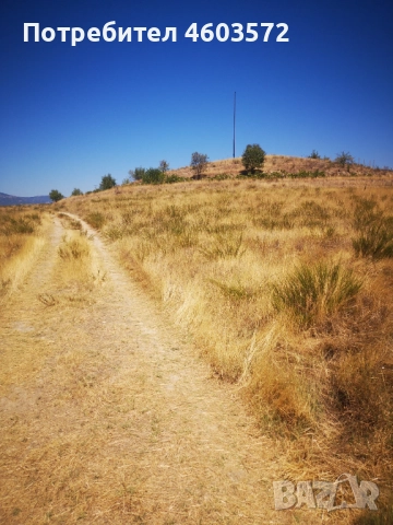 Собственик продава 3 броя парцели, снимка 10 - Парцели - 51817495