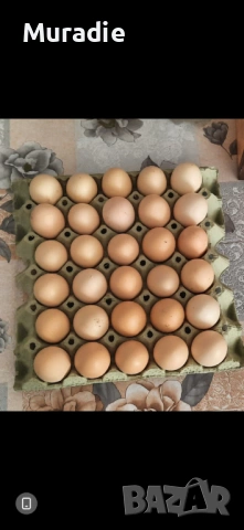 Яйца от село 