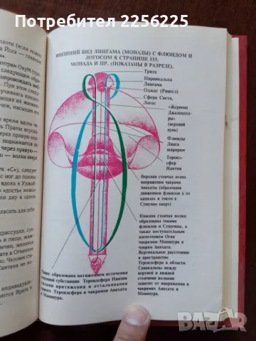 Синергетика, снимка 5 - Специализирана литература - 50250674
