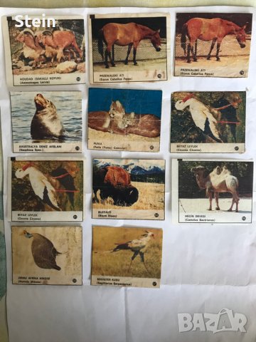 Картинки от дъки, снимка 3 - Колекции - 36208376