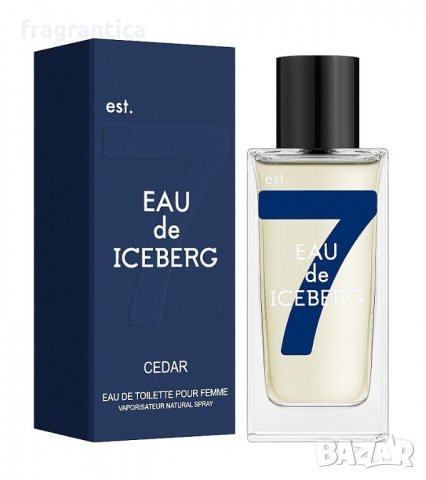 Iceberg Eau de Iceberg Cedar EDT 100ml тоалетна вода за мъже в Мъжки ...