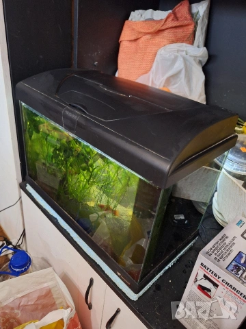 Аквариум ferplast capri 50 , снимка 3 - Аквариуми - 53052697