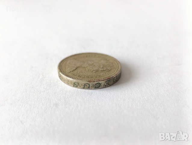 Монета 1 паунд 1983 рядка , снимка 2 - Нумизматика и бонистика - 53454184