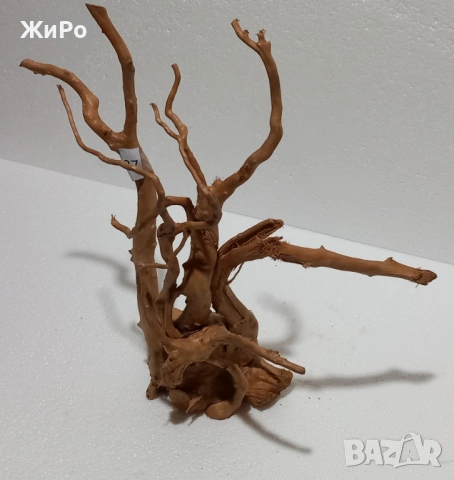 Корен от Азалия /декорация/ 37, снимка 2 - Други - 48966657