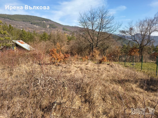 ПРОДАВА СЕ: Панорамен парцел в регулация – в.з. "Герова леска", с. Свидня, снимка 12 - Парцели - 53683788