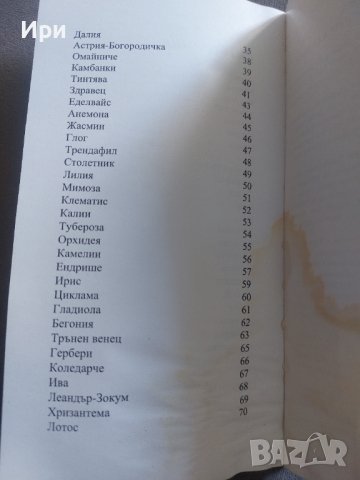 С обич към цветята, снимка 4 - Художествена литература - 42210911