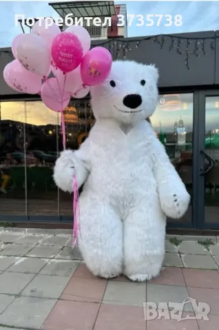 Изненада с голямо бяло мече , снимка 1