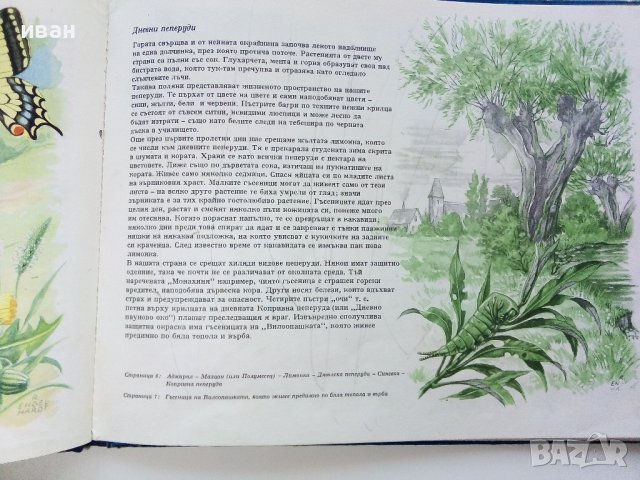 Чудеса на природата - З. Зорге, Х. Шрайер - 1971г. , снимка 4 - Детски книжки - 41855286