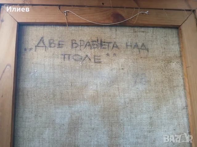 Картина на Ненко Чернев , снимка 4 - Декорация за дома - 48943326