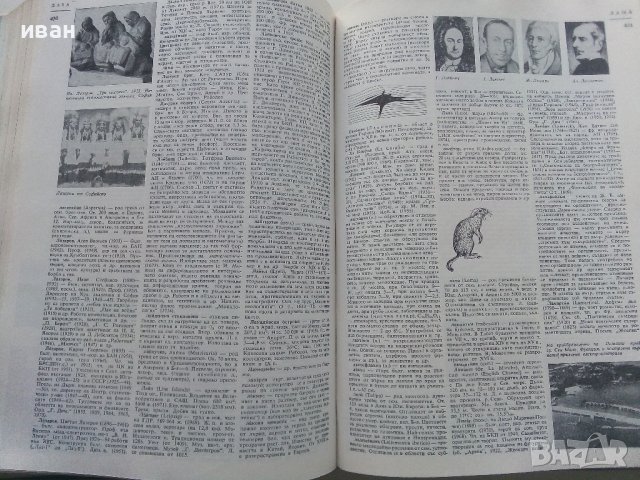 Българска Енциклопедия  А - Я  - 1974г. , снимка 3 - Енциклопедии, справочници - 39558682