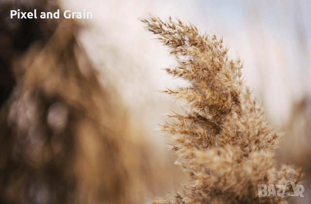 Pro Nikon AF 35-70mm f/2.8D Nikkor обектив Никон, снимка 11 - Обективи и филтри - 53567230