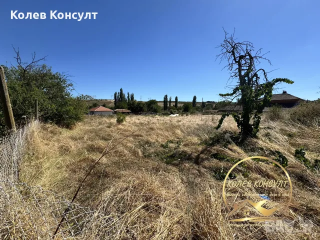 къща село Димитровче,общ.Свиленград, снимка 2 - Къщи - 56015406