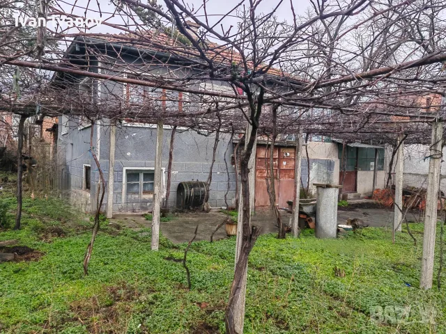 Къща с двор в с. Сборище