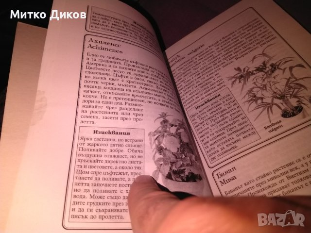 Стайни растения Жечка Георгиева книга , снимка 5 - Езотерика - 42734836