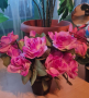Изкуствени цветя за вашия дом или подарък 