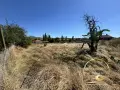 къща село Димитровче,общ.Свиленград, снимка 2