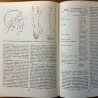 Учебник по рефлексотерапия, снимка 10 - Специализирана литература - 38604587