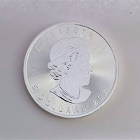 1 унция сребърна монета канадски кленов лист, снимка 2 - Нумизматика и бонистика - 40937420