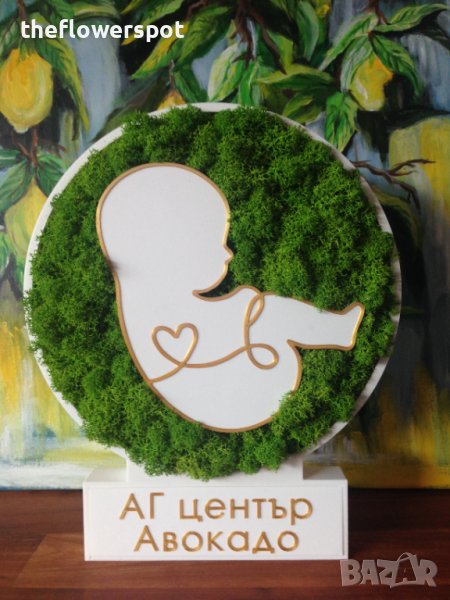 Подарък за АГ клиники и акушер-гинеколози със скандинавски мъх, снимка 1