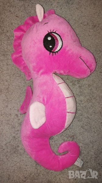 Голямо водно конче 10 лв. 55 см, снимка 1