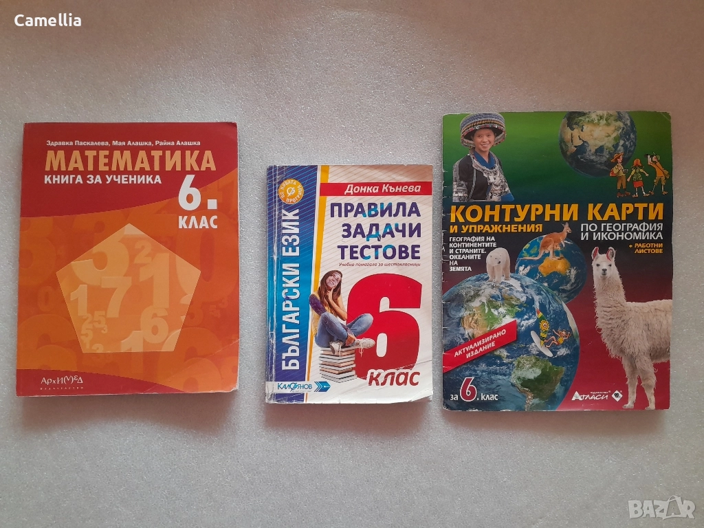 Учебници за 6 клас, снимка 1