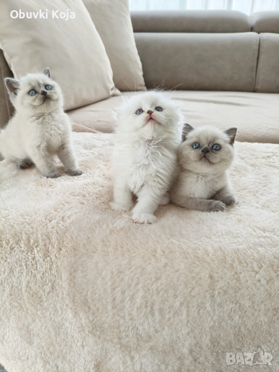 Уникален подарък за вашите любими , снимка 1